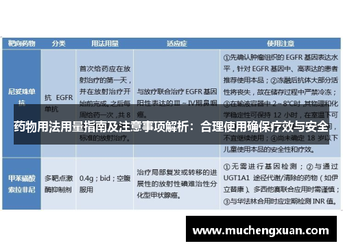 药物用法用量指南及注意事项解析：合理使用确保疗效与安全