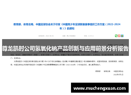 尊龙凯时公司氢氧化钠产品创新与应用前景分析报告 尊龙凯时公司氢氧化钠产品创新与应用前景分析报告