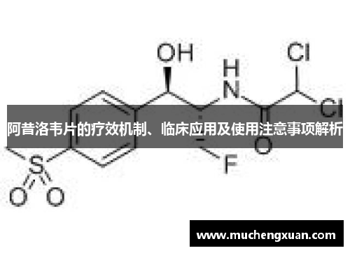 阿昔洛韦片的疗效机制、临床应用及使用注意事项解析 阿昔洛韦片的疗效机制、临床应用及使用注意事项解析
