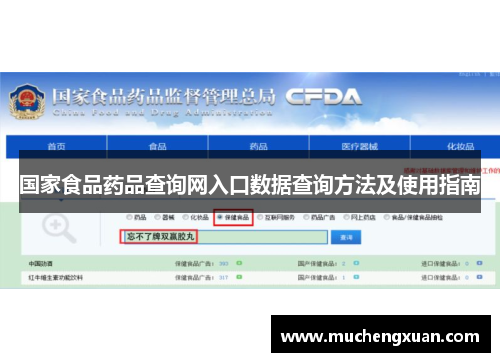 国家食品药品查询网入口数据查询方法及使用指南 国家食品药品查询网入口数据查询方法及使用指南