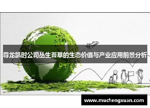 尊龙凯时公司丛生苔草的生态价值与产业应用前景分析 尊龙凯时公司丛生苔草的生态价值与产业应用前景分析
