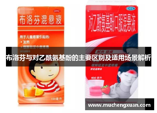 布洛芬与对乙酰氨基酚的主要区别及适用场景解析