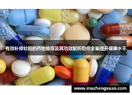 有效补肾壮阳的药物推荐及其功效解析助你全面提升健康水平 有效补肾壮阳的药物推荐及其功效解析助你全面提升健康水平