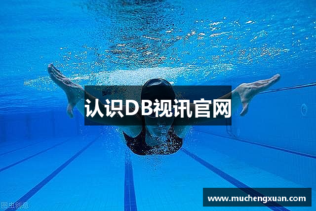 认识DB视讯官网